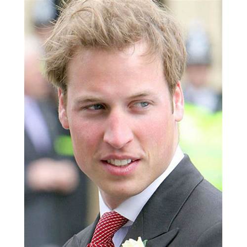 William, principe del Galles, Principe, Incidente, Famiglia reale, Harry, duca di Sussex